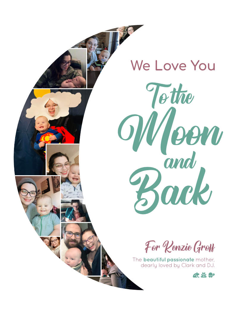 to the moon and back poster photo